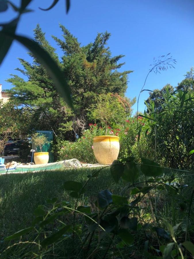 B&B Oasis Des Lavandes - Chambre Coqueliot 阿维尼翁新城 外观 照片