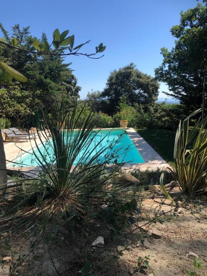 B&B Oasis Des Lavandes - Chambre Coqueliot 阿维尼翁新城 外观 照片
